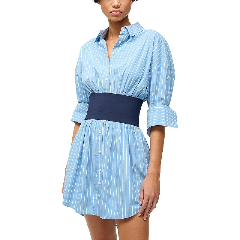 Womens Pinstripe V-Neck Shirtdress