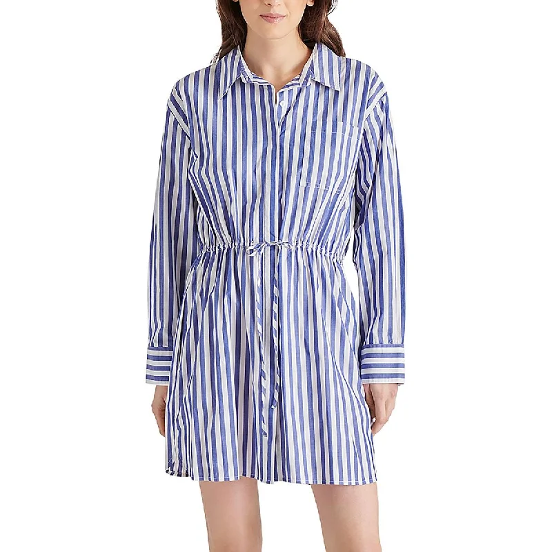 Womens Pinstripe V-Neck Shirtdress